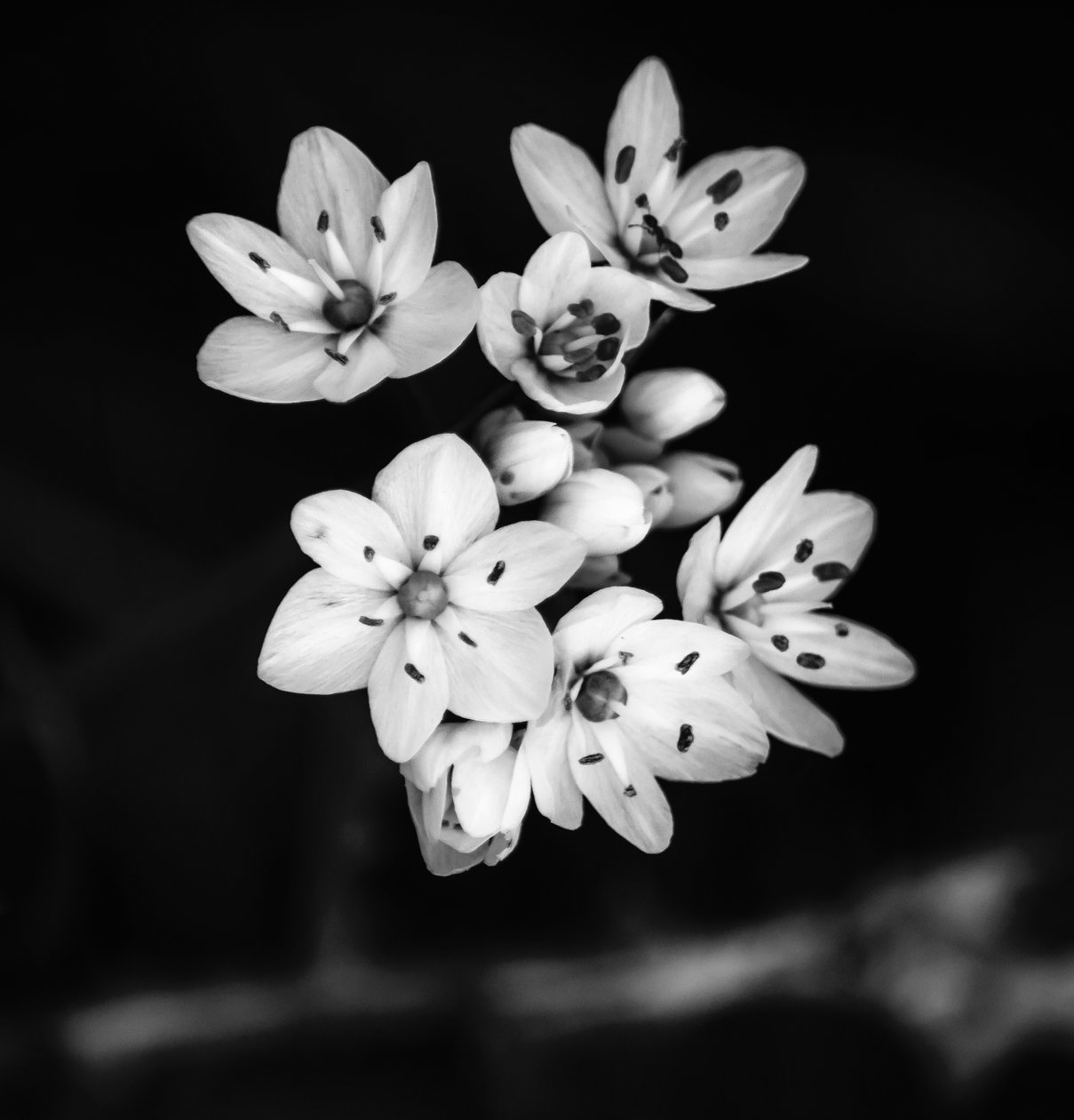 vztah, 2019, (fotografie) od Alex Caminker