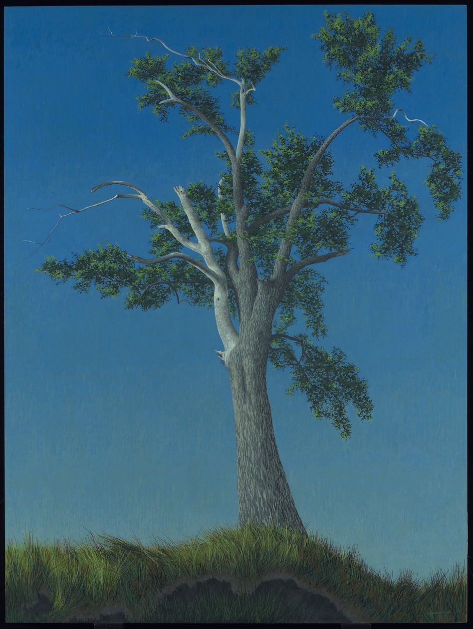 Elm Tree v Horton Landing od Alex Colville