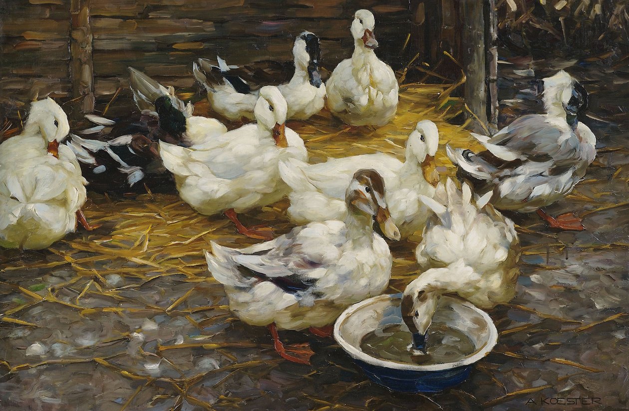 Kachny ve slámě od Alexander Koester