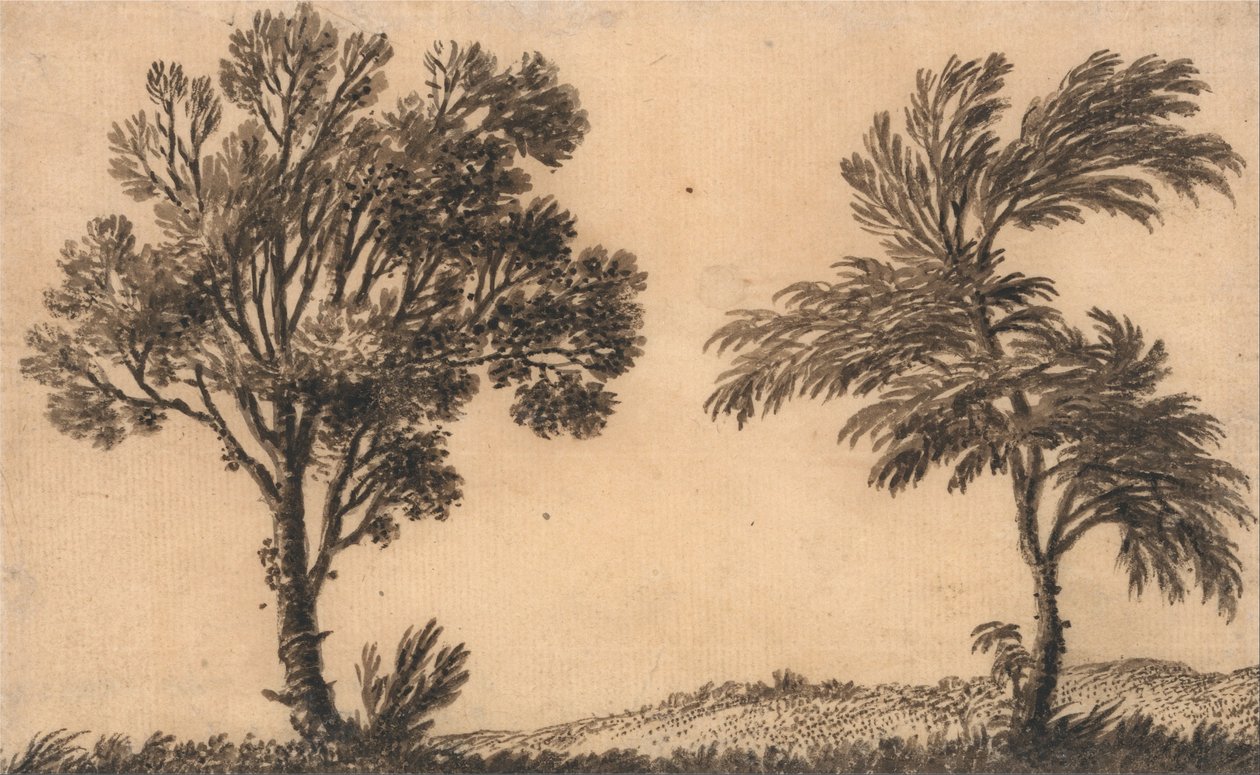 Studie dvou vrb od Alexander Cozens