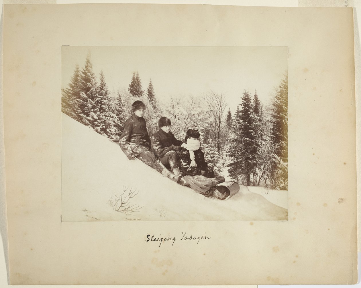 Toboganing, c.1873 (albumen print (kompozitní)) od Alexander Henderson