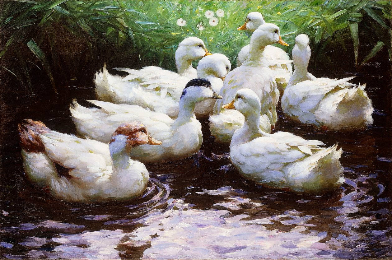 Na břehu (kachny) od Alexander Koester