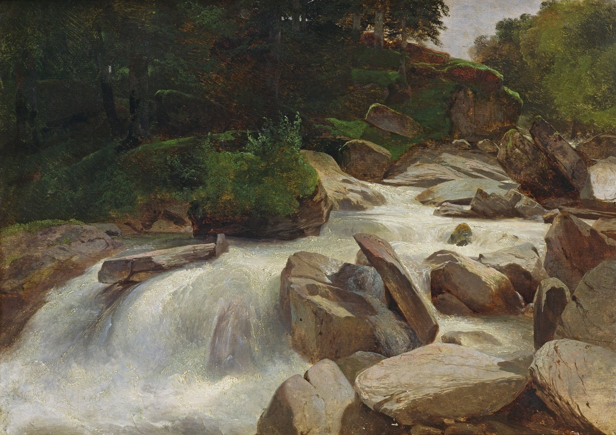 River Study, c.1846-50 od Alexandre Calame
