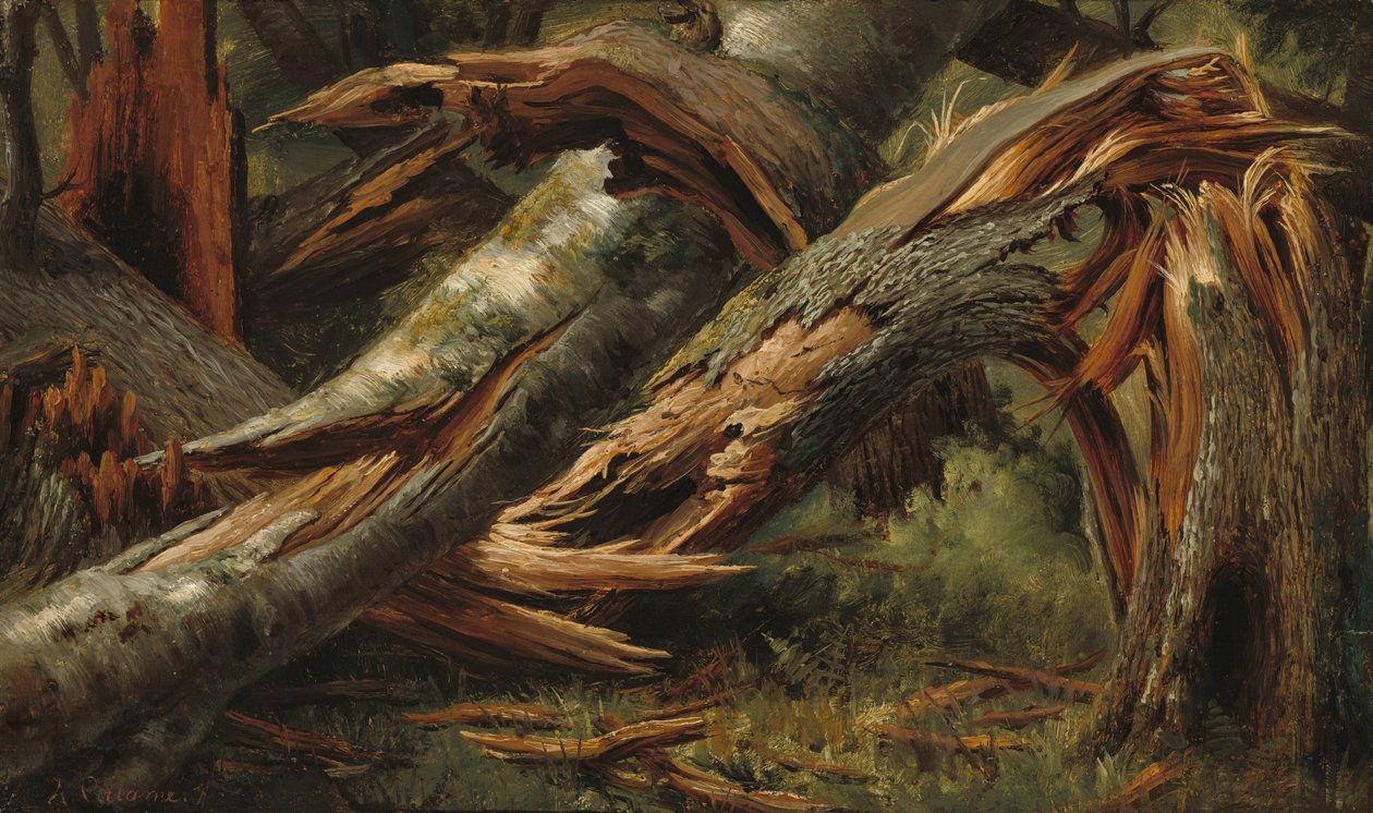 Padlý strom, 18391845. od Alexandre Calame