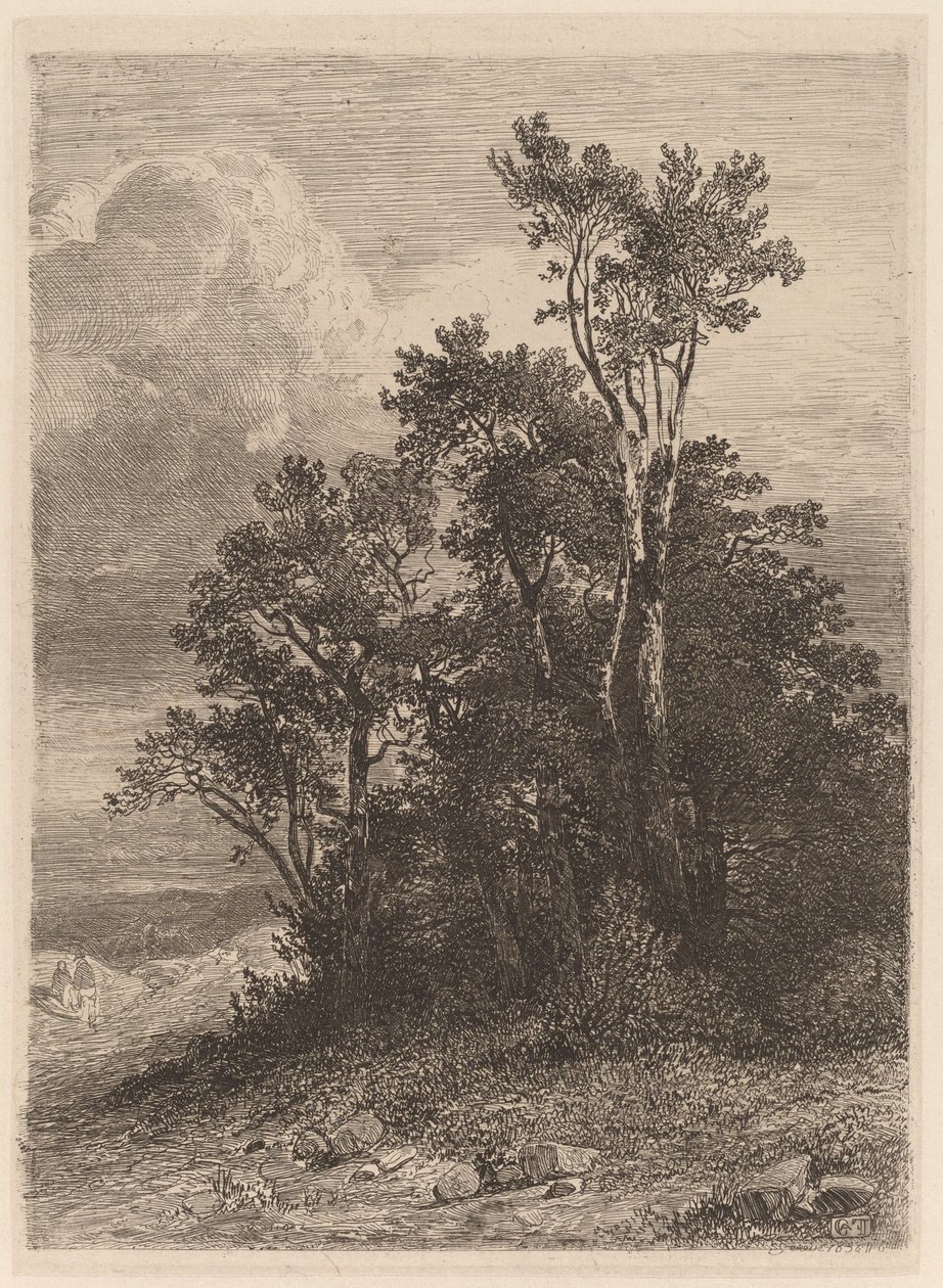 Háj stromů od Alexandre Calame