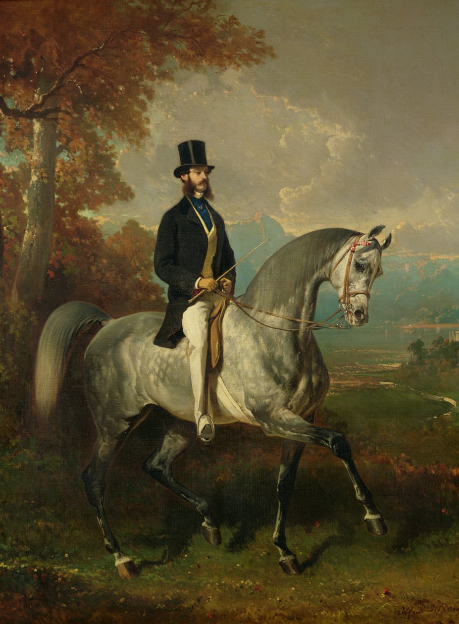Hrabě Alfred de Montgomery (1810-91) 1850-60 od Alfred Dedreux
