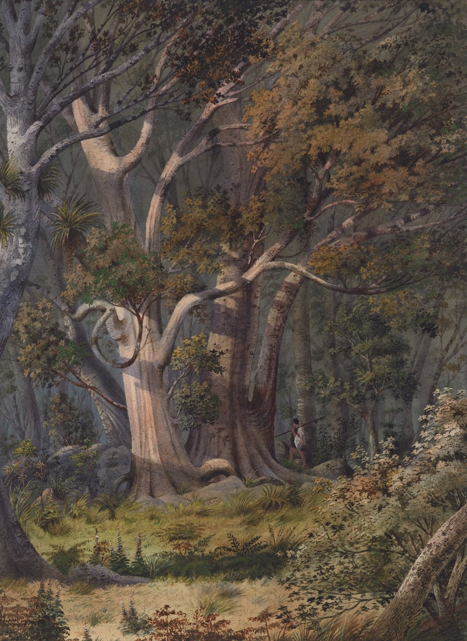 Pohřebiště Hone Heke, Bay of Islands od Alfred Sharpe