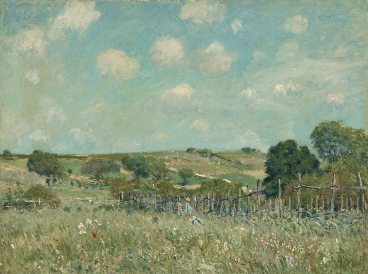 Louka, 1875 od Alfred Sisley