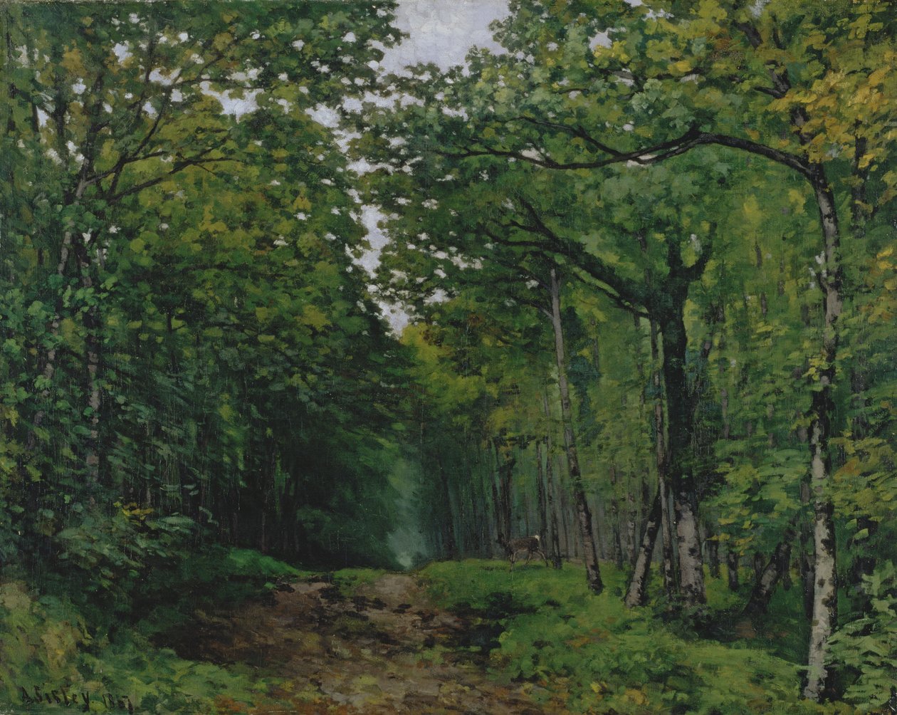 Avenue of Chestnut Trees v La Celle-Saint-Cloud, 1867 od Alfred Sisley