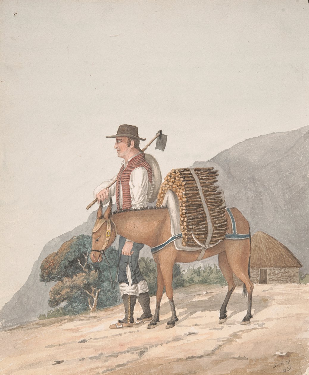 Prodejce palivového dřeva, Tenerife od Alfred Diston