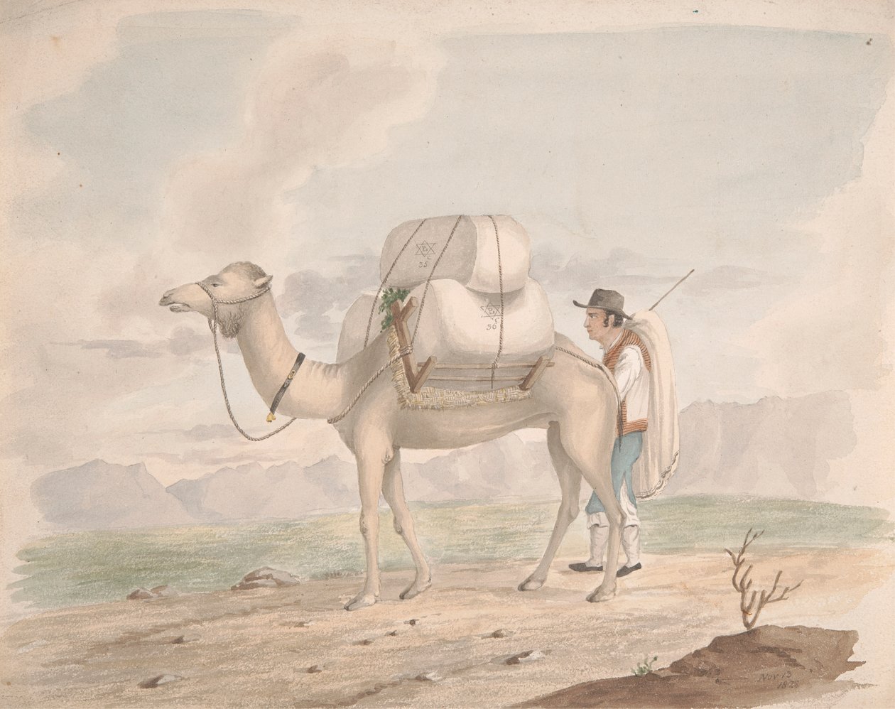 Naložený Camel od Alfred Diston