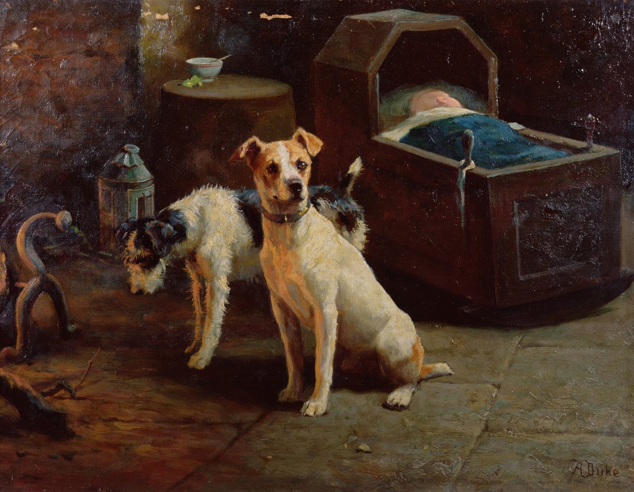 Sledování od Alfred Duke