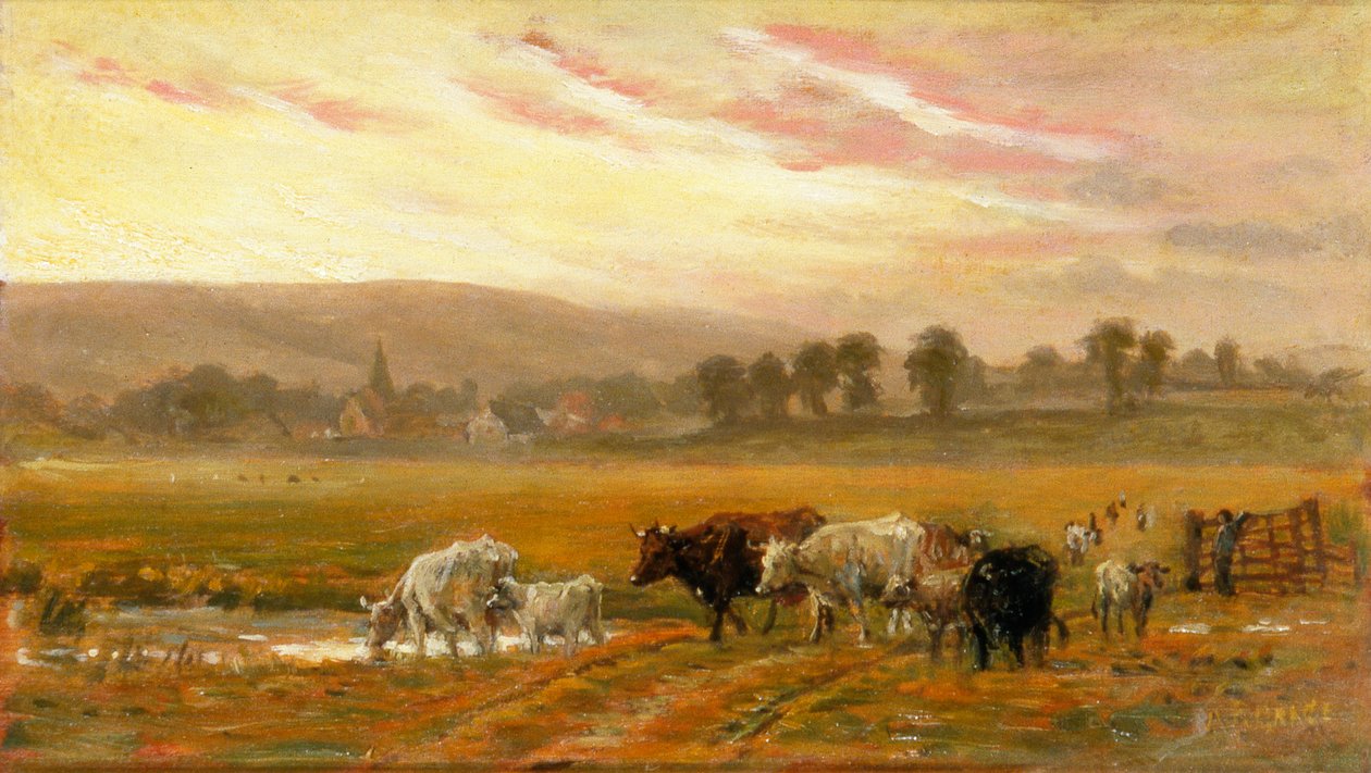 Západ slunce u Amberley (olej na plátně) od Alfred Fitzwalter Grace