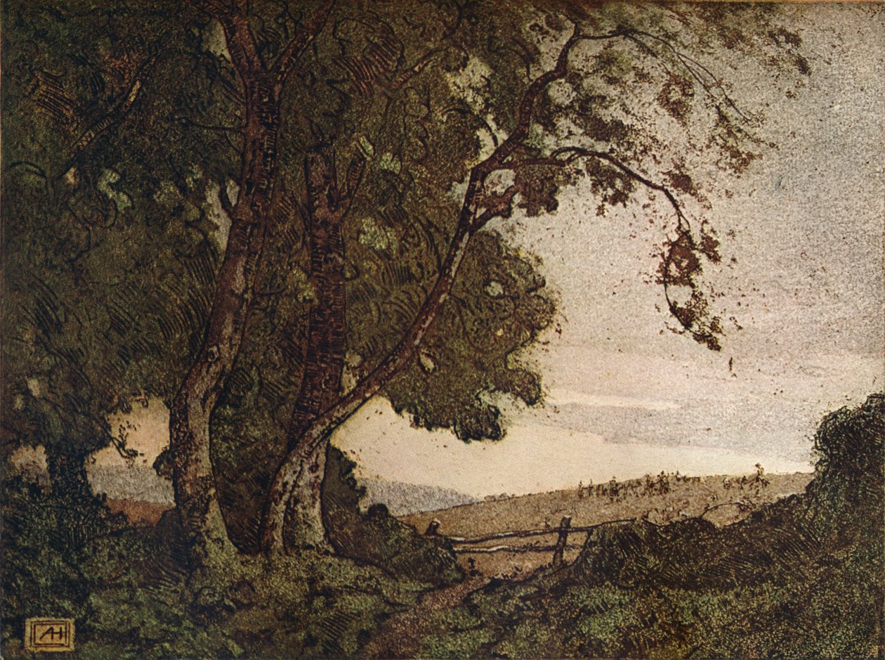 Drooping Ash, c1910 od Alfred Hartley