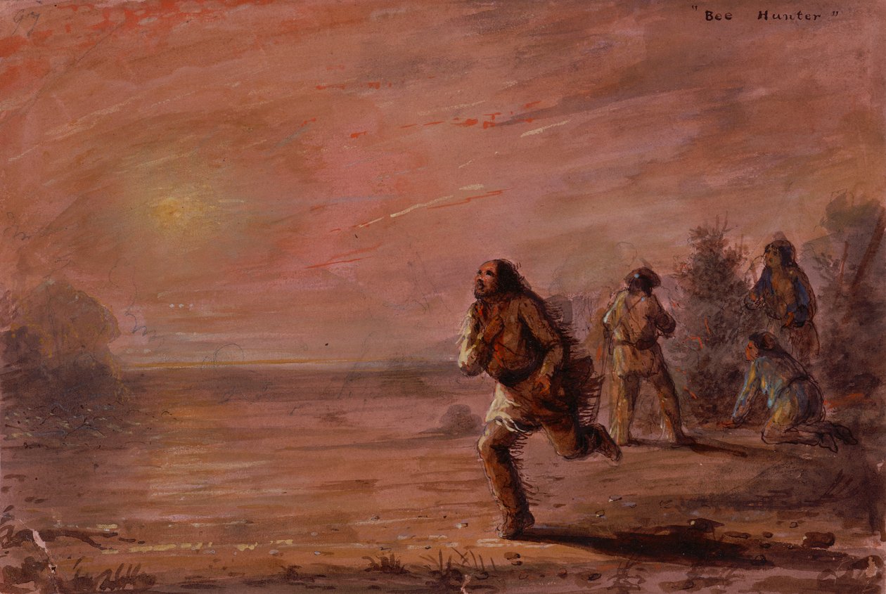 Bee Hunters, c.1837 (olej na papíře) od Alfred Jacob Miller