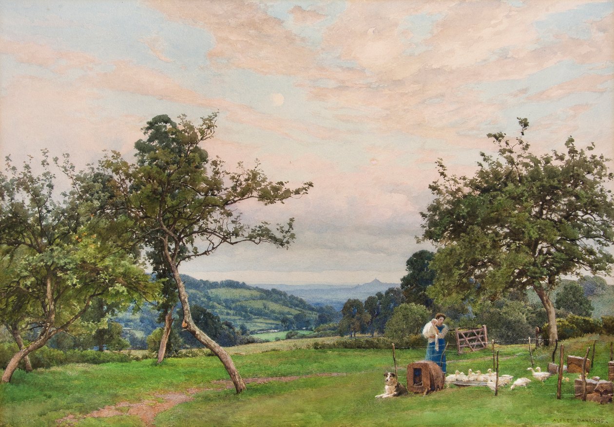 Kachní pero (akvarel) od Alfred Parsons
