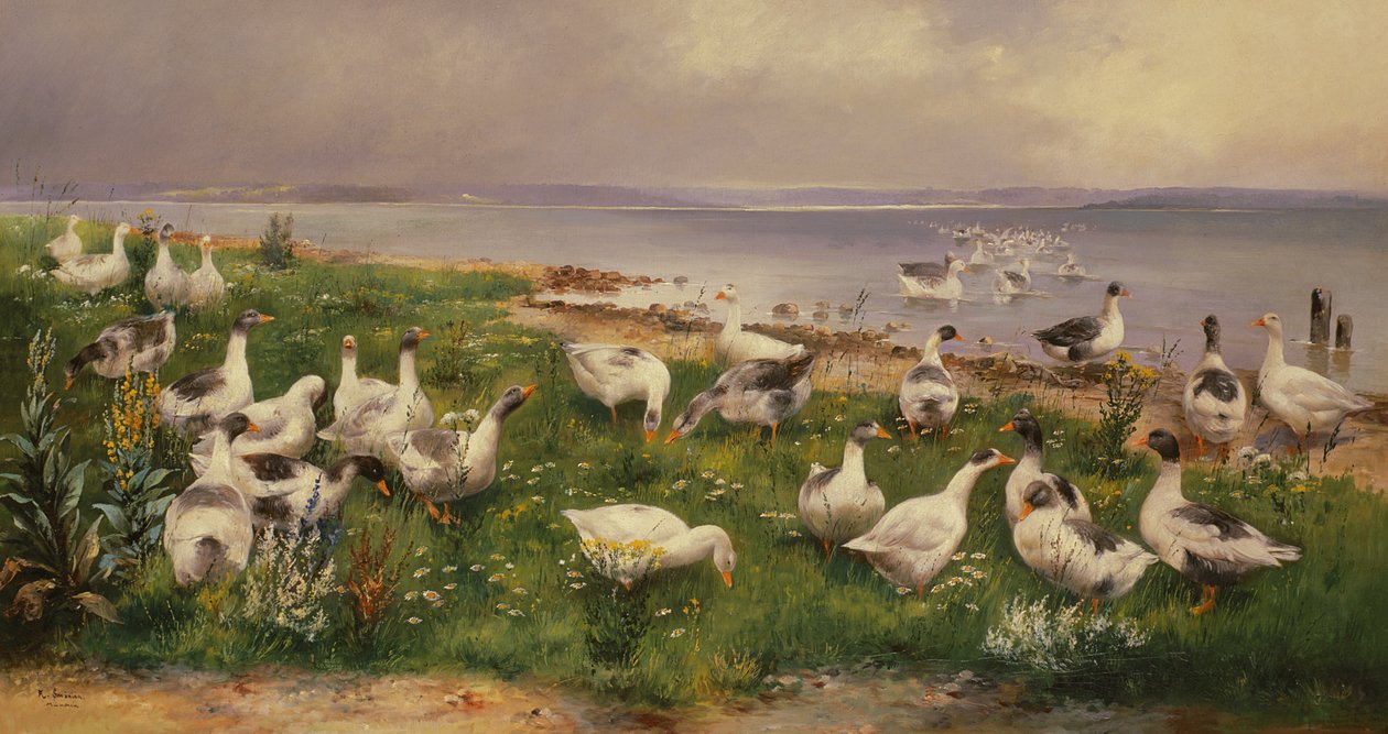 Husy od Alfred Schonian