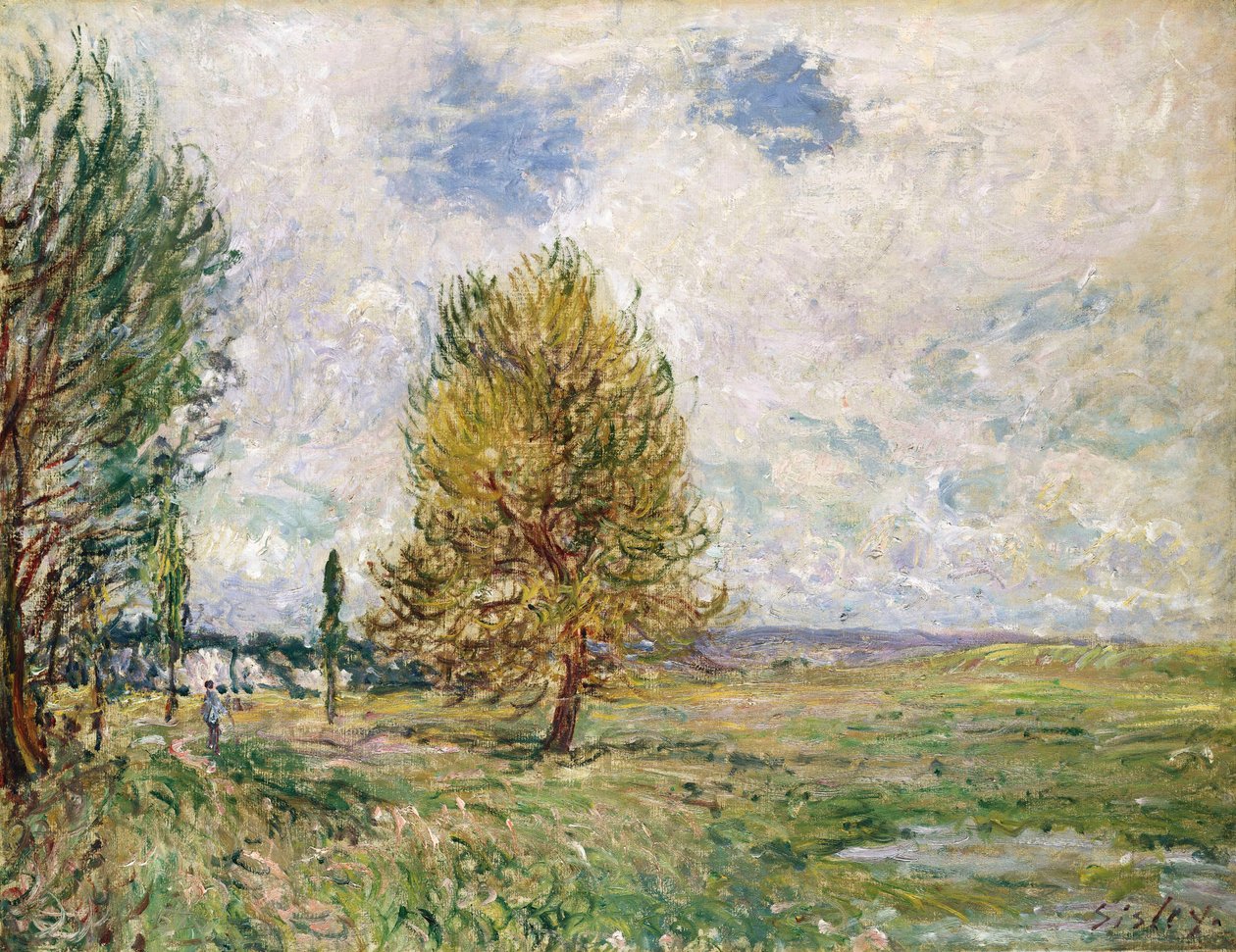 Plain of Veneux-Nadon, 1881 od Alfred Sisley