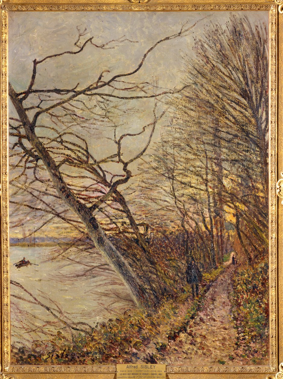 Le Bois des Roches, Veneux-Nadon ... od Alfred Sisley