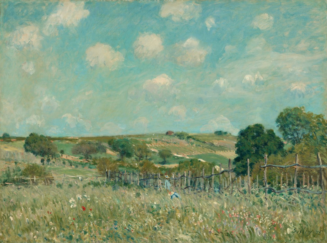 Louka od Alfred Sisley