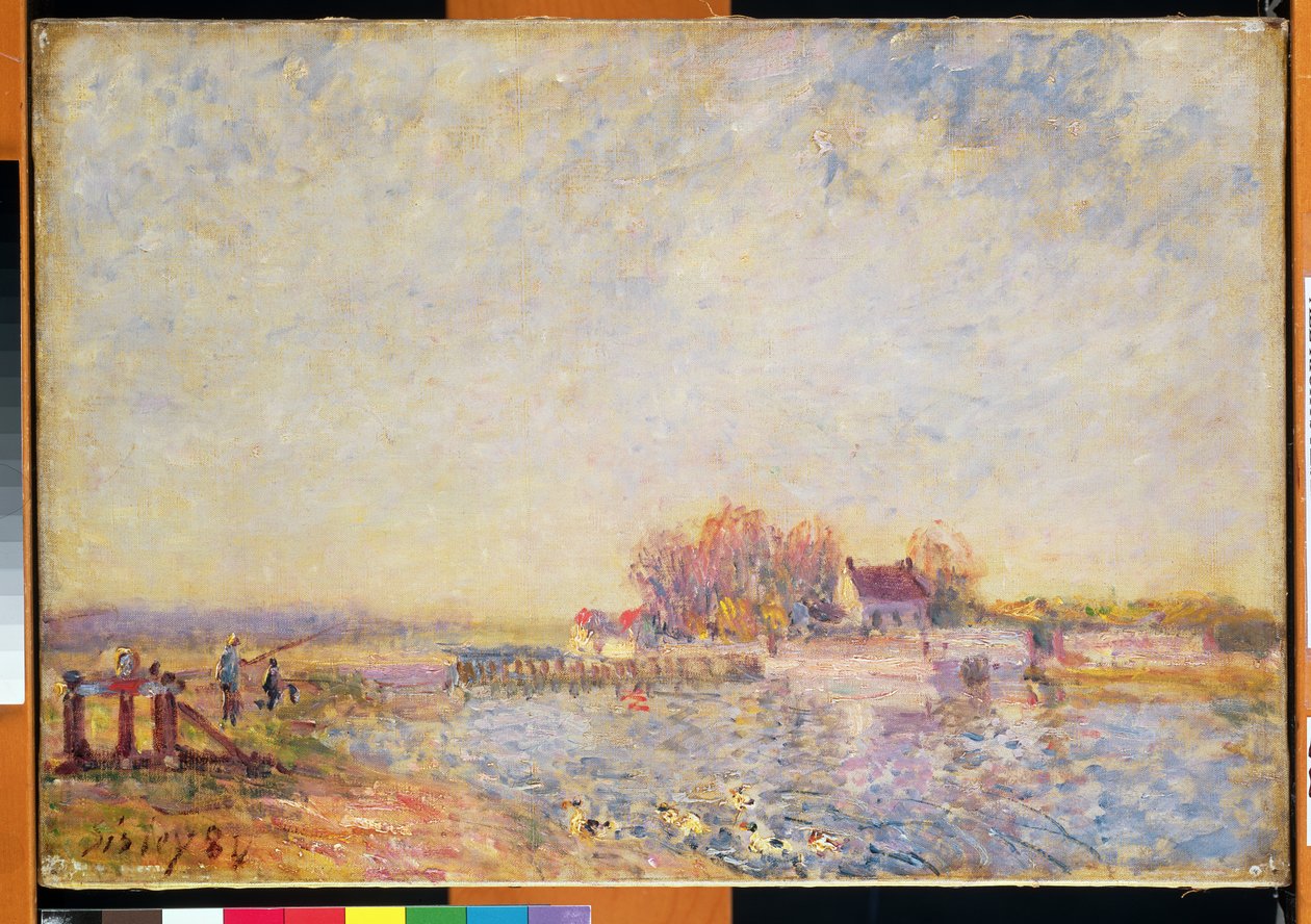Říční scéna s kachnami, 1881 od Alfred Sisley