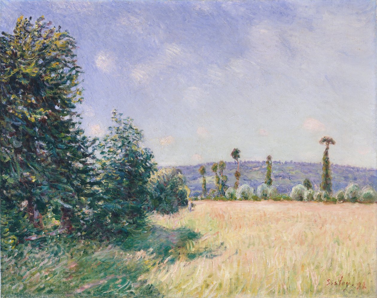 Sahurs Meadows v ranním slunci, 1894. od Alfred Sisley