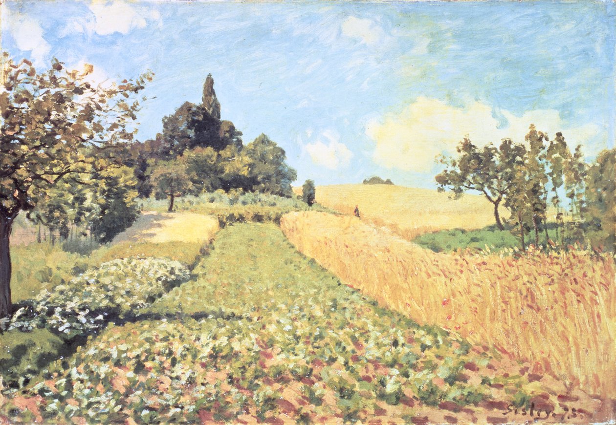Pšeničné pole (olej na plátně) od Alfred Sisley