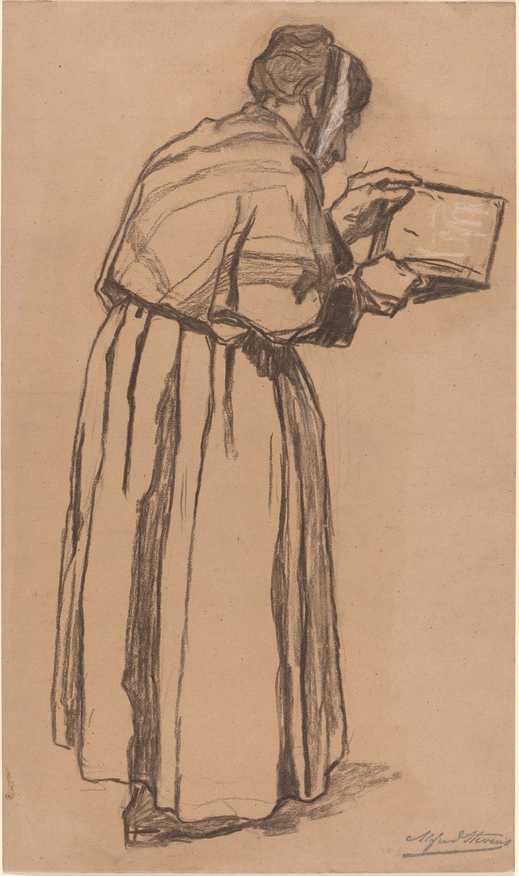 Žena čtení od Alfred Emile Stevens