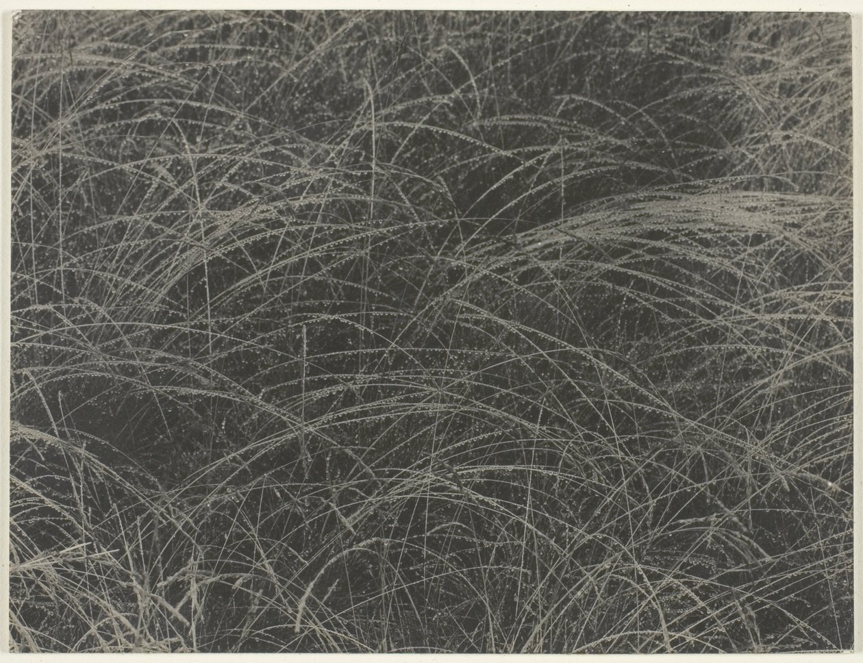 Ekvivalent od Alfred Stieglitz