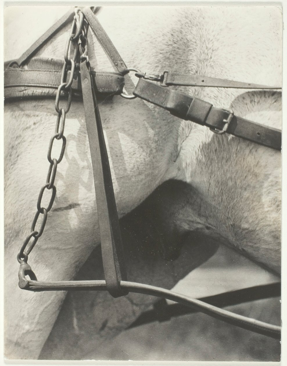 Ekvivalent, Duchovní Amerika, 1923. od Alfred Stieglitz