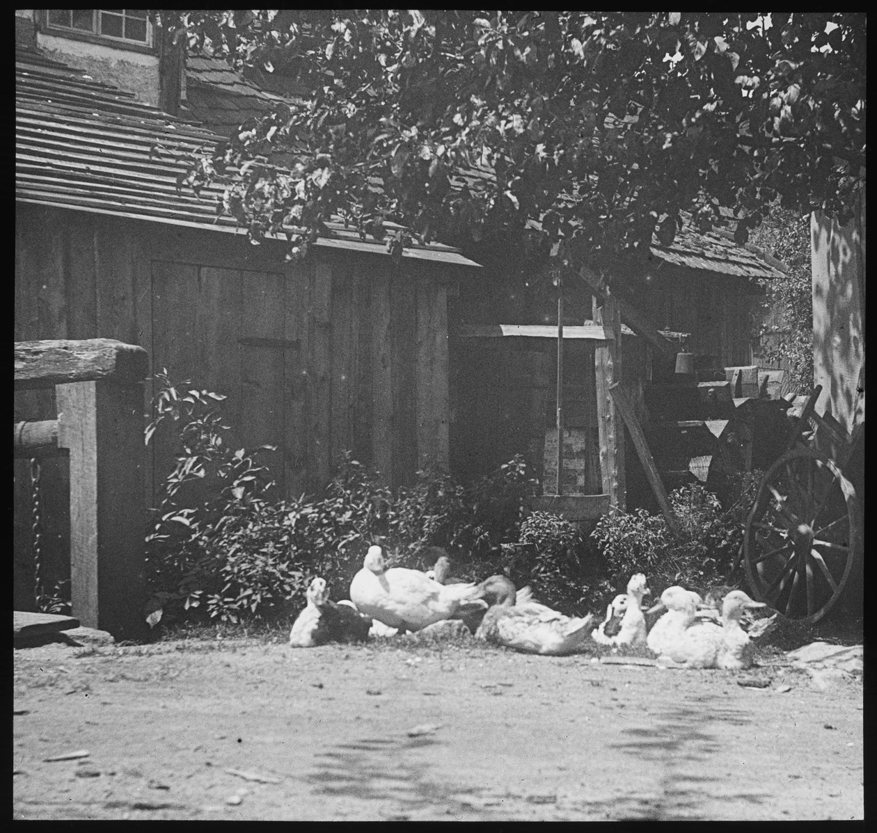 posouzení od Alfred Stieglitz