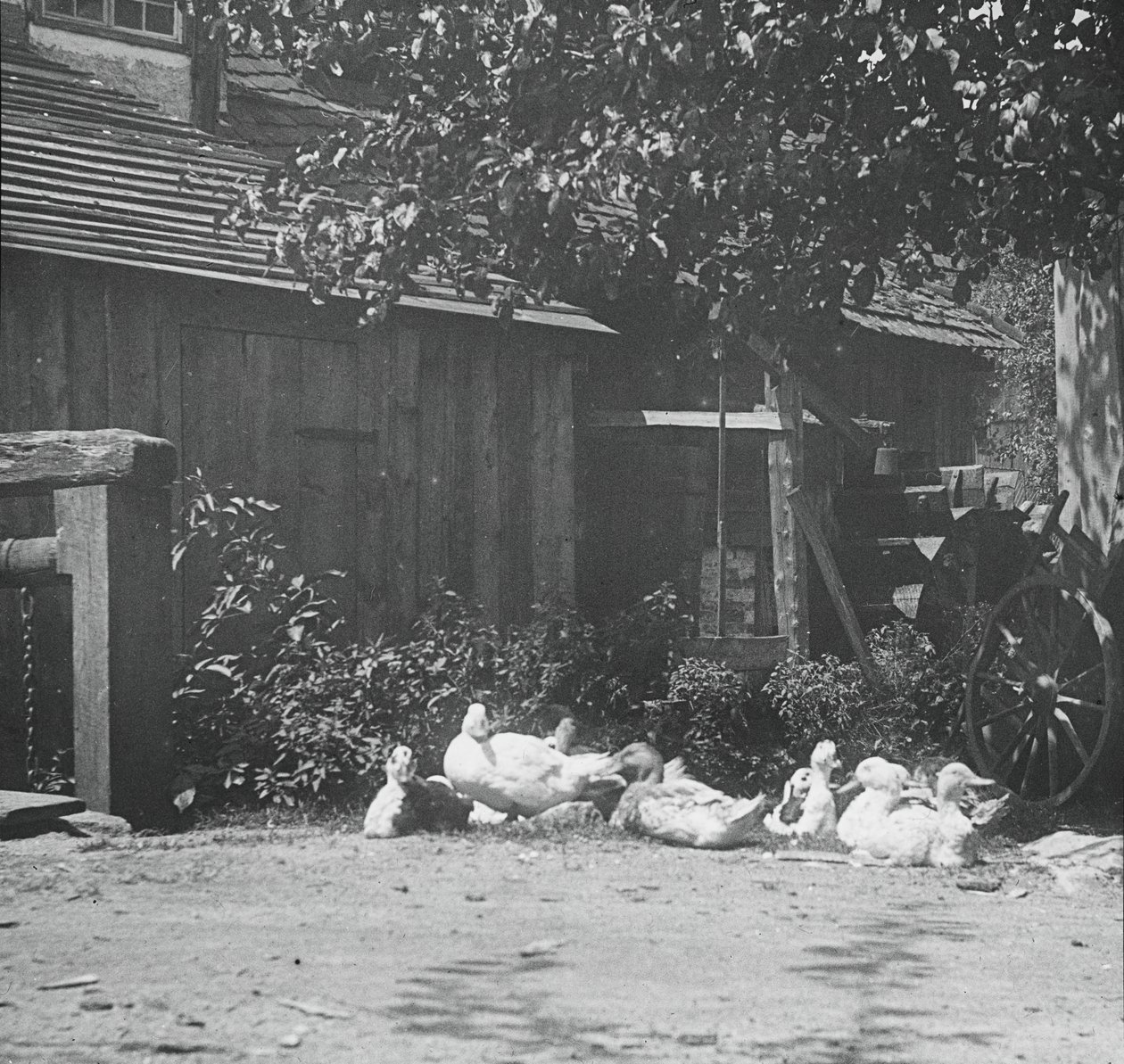 Gutach, 1894. od Alfred Stieglitz
