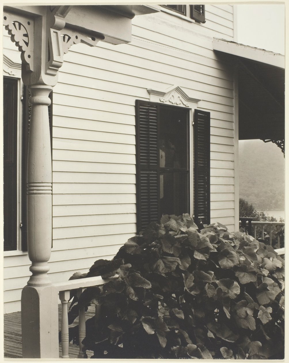 Dům a vinné listy od Alfred Stieglitz