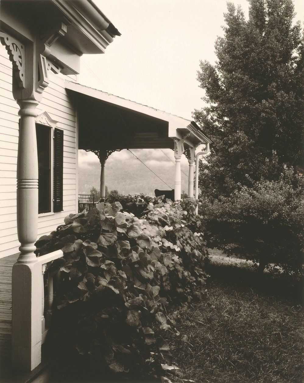 Dům a hroznové listy, 1934. od Alfred Stieglitz