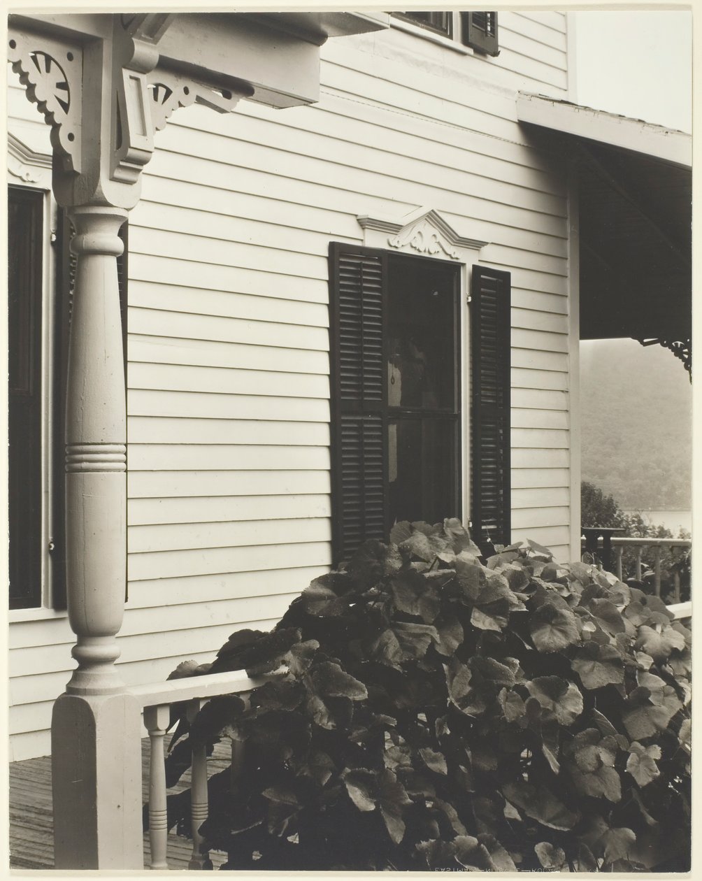 Dům a hroznové listy, 1934. od Alfred Stieglitz
