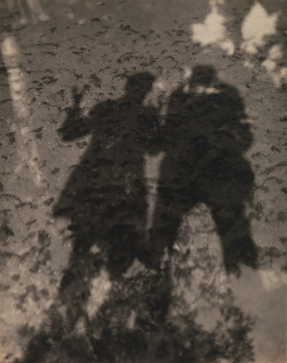 Stíny v jezeře od Alfred Stieglitz