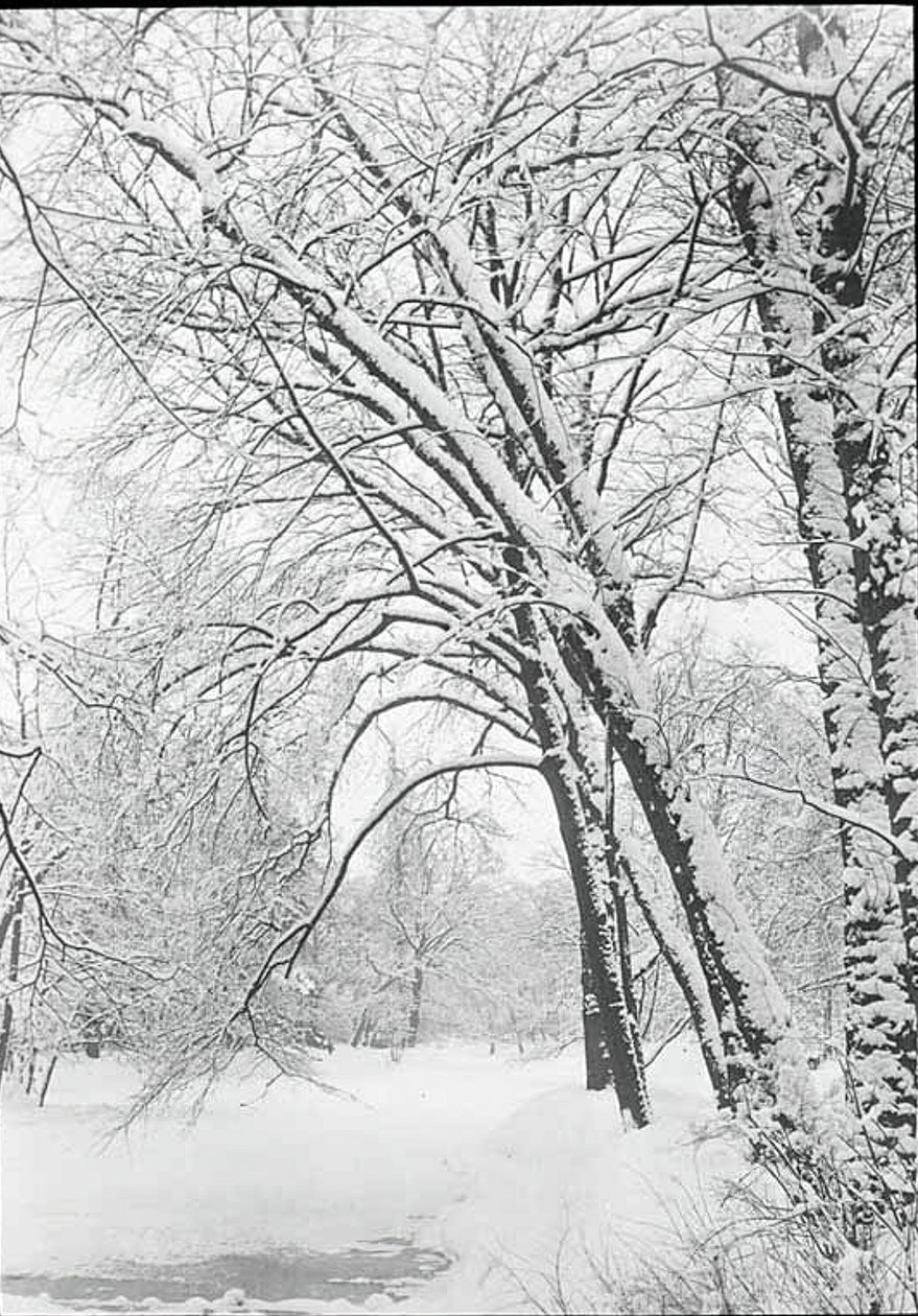 Snowscape, Berlín, 188892. od Alfred Stieglitz