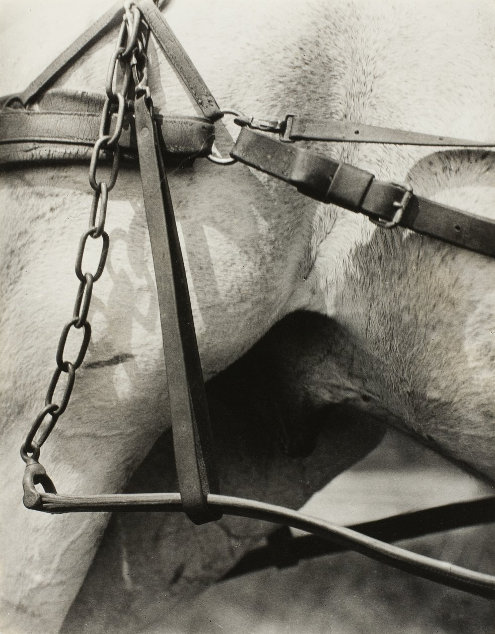 Spiritual America: Songs of the Sky A1 od Alfred Stieglitz