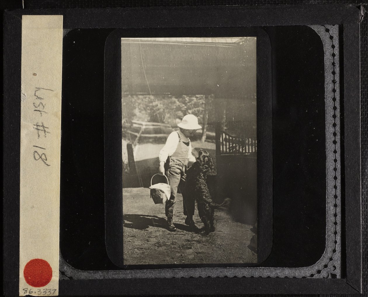 Bez názvu (neteř Elizabeth s "Inkym" v Oaklawn) od Alfred Stieglitz