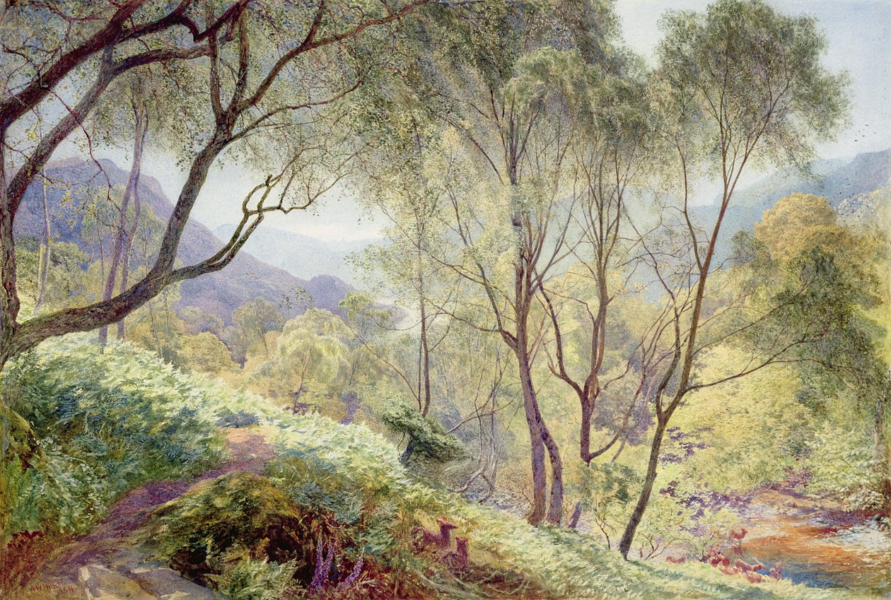 Ullswater z Gowbarrow Park, 1864 od Alfred William Hunt