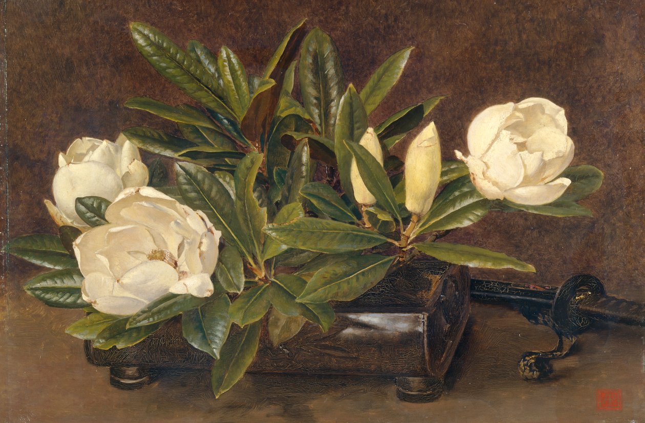 Magnolie, 1867-1920 od Alfred William Parsons