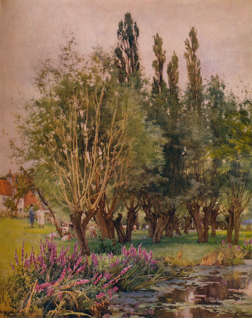 Purple Loosestrife, c1891 od Alfred William Parsons