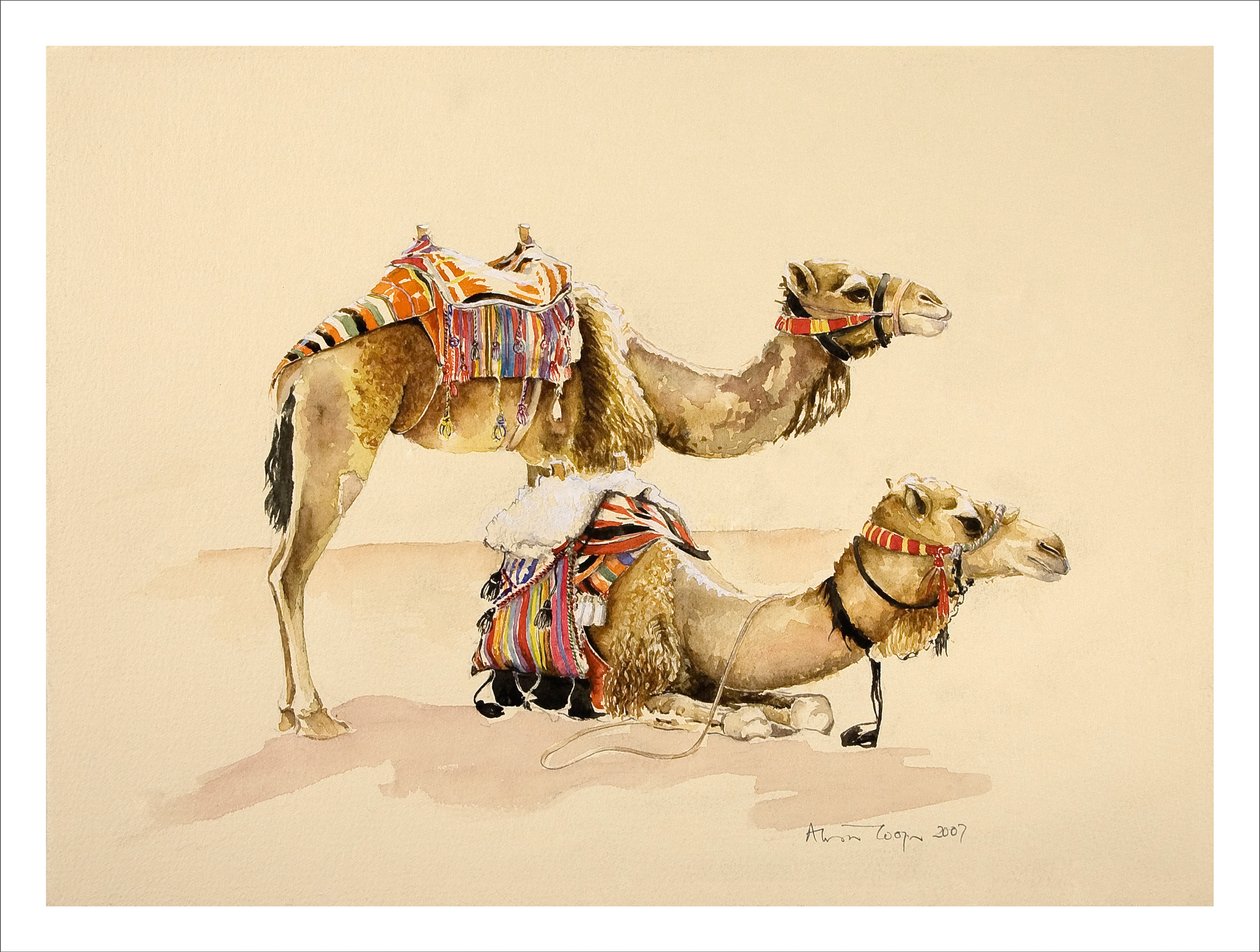 Velbloudi z Petry, 2007 od Alison Cooper