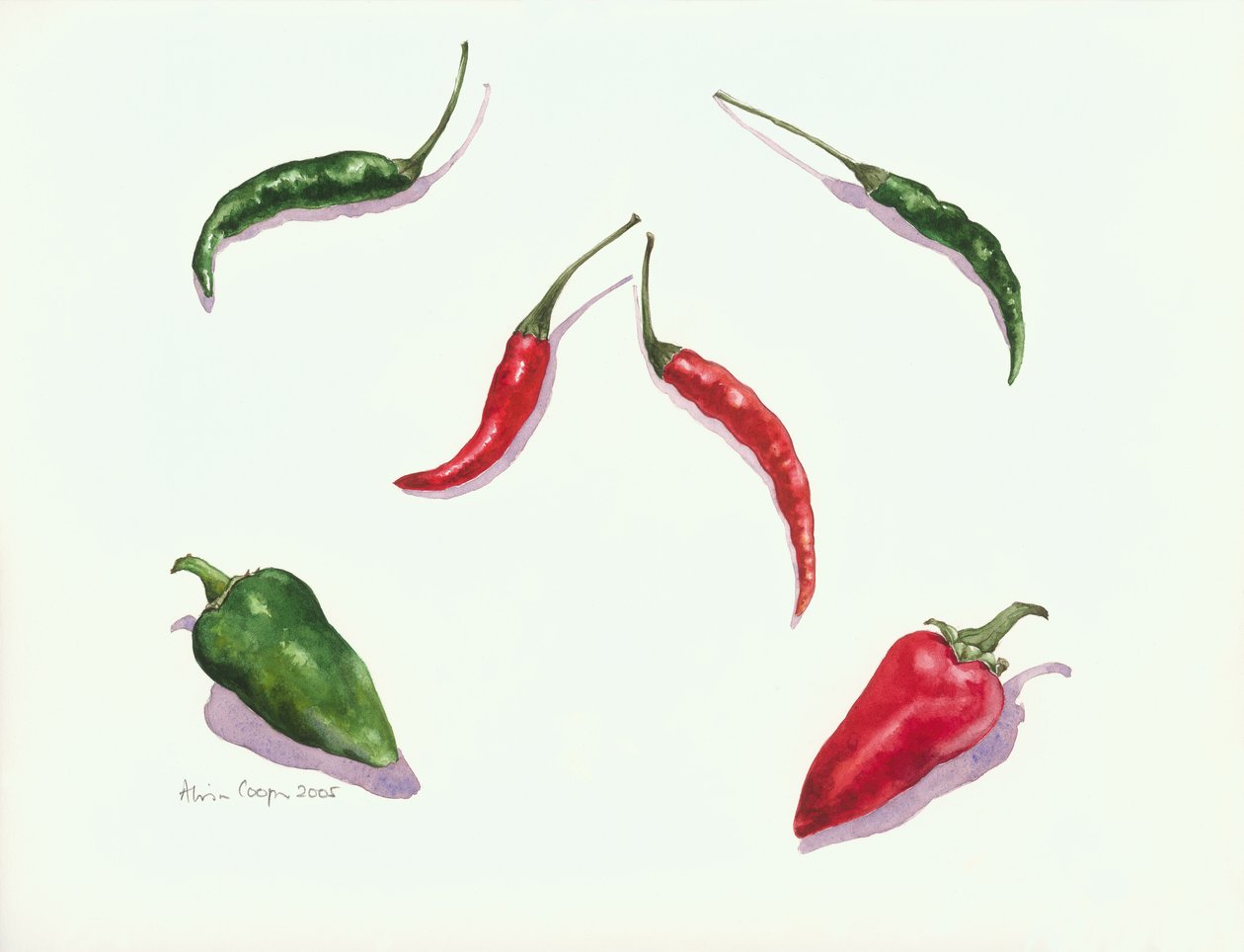 Chilli papričky a papriky, 2005 od Alison Cooper
