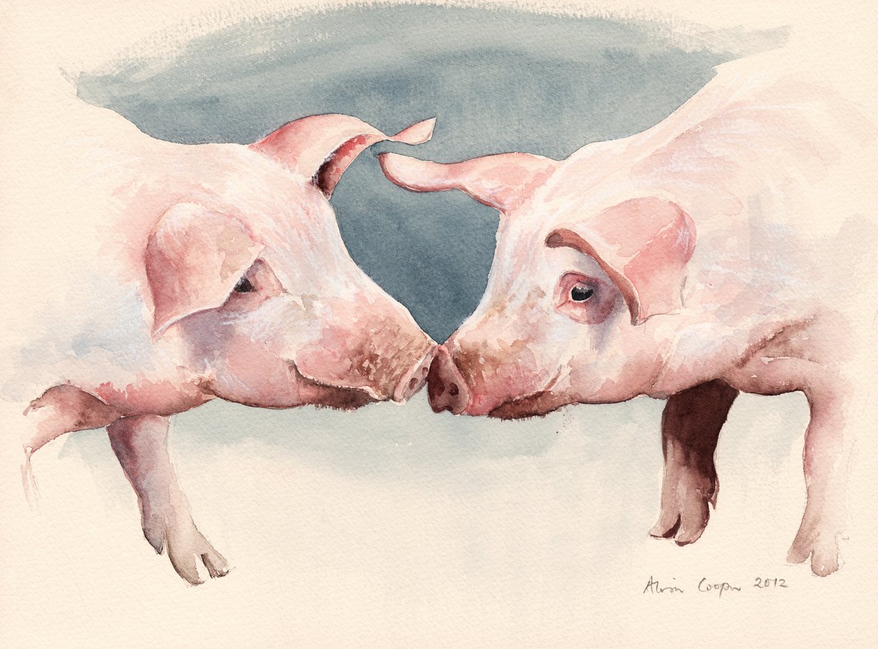 Dvě malá prasátka, 2012 od Alison Cooper