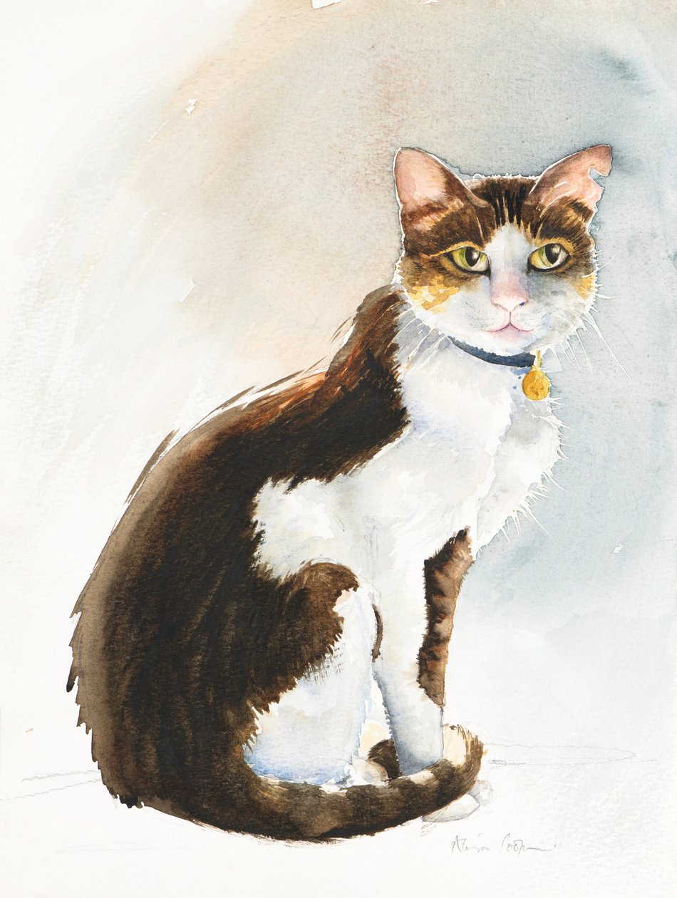 Dave the Saudi Cat, 2019 (akvarel) od Alison Cooper