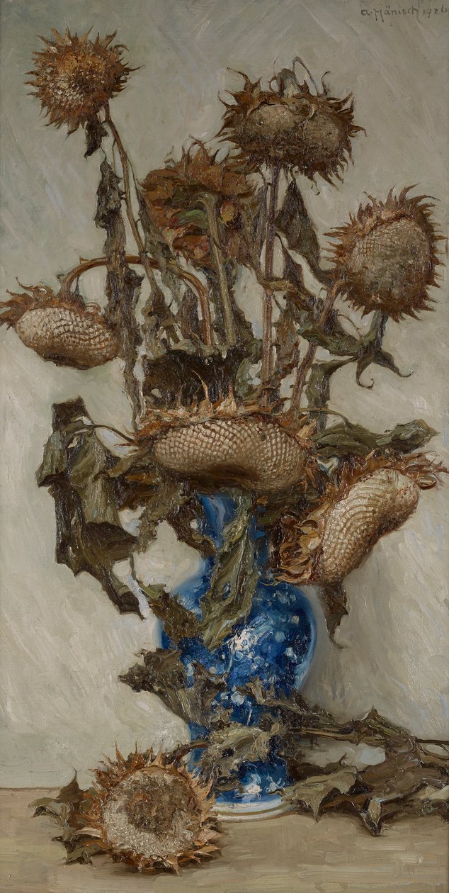 Helianthus od Alois Hänisch