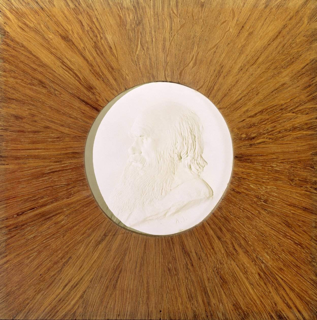 Charles Darwin (1809-82) kolem 1881 (sádrový basreliéf) od Alphonse Legros