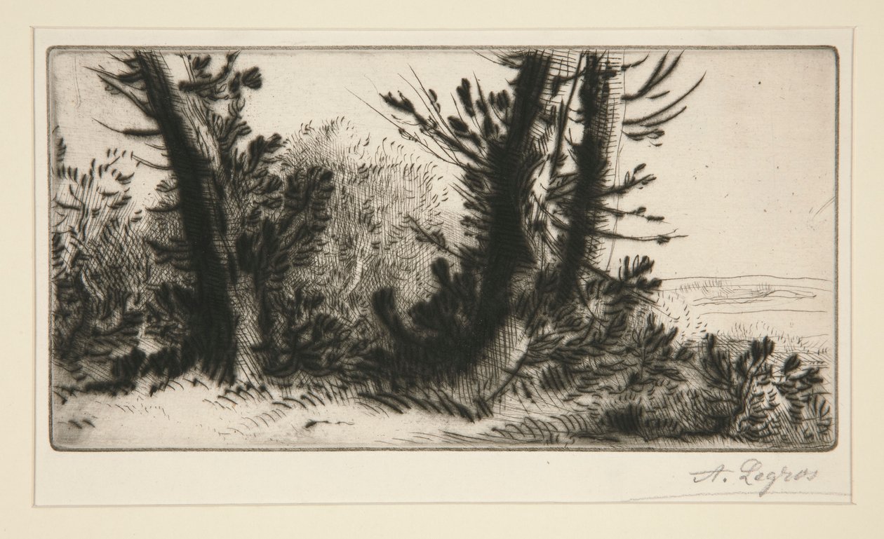Travers šampion (Cross Country) od Alphonse Legros