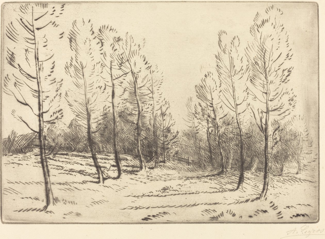 Alej topolů od Alphonse Legros